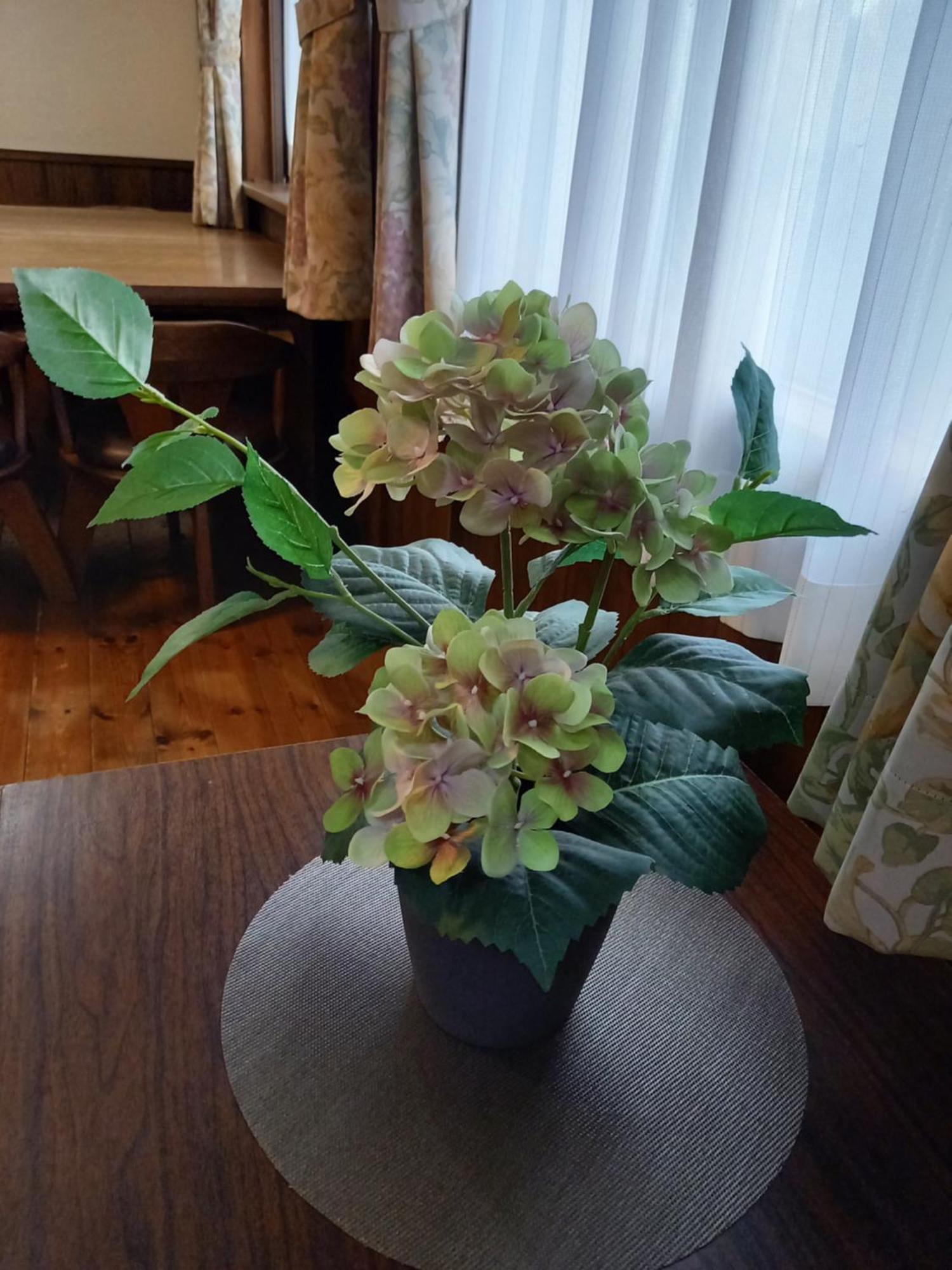 Hakuba Powder Lodge Taketombo Dış mekan fotoğraf
